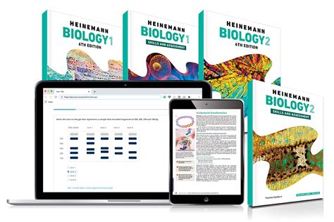 <b>pdf</b> – <b>Free</b> <b>download</b> Ebook, Handbook, Textbook, User Guide <b>PDF</b> files on the internet quickly and easily. . Heinemann biology 6th edition pdf free download